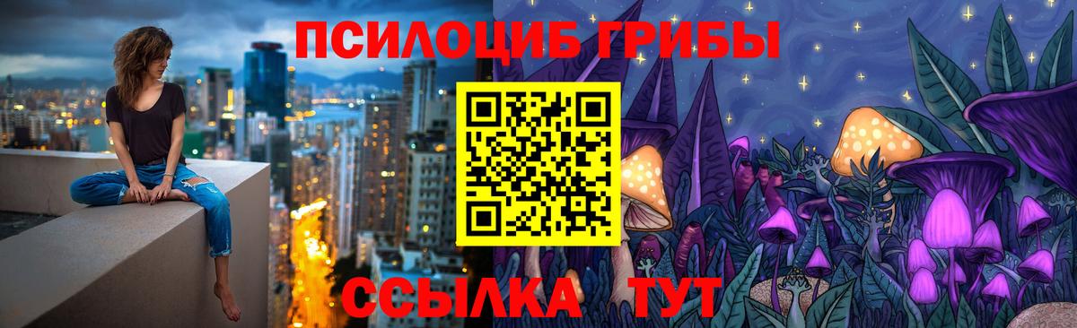 Джанкой  Псилоцибиновые грибы GOLDEN TEACHER  Вход с VPN 