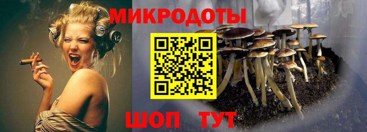 Псилоцибиновые грибы Psilocybe Джанкой